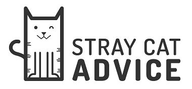 Stray Cat Advice
